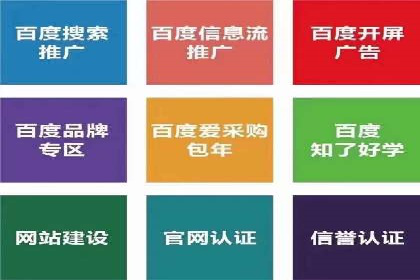 行业标杆：SEM推广代运营成功案例